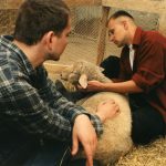 Two men and a sheep 1–3
