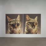 Cat Portrait and Other Works