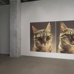 Cat Portrait and Other Works