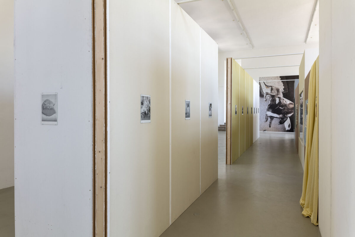 and order